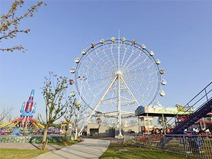 Excellent 42M Ferris Wheel Outdoor & Indoor Playground Equipment Manufacturer & Supplier-DAMO Rides